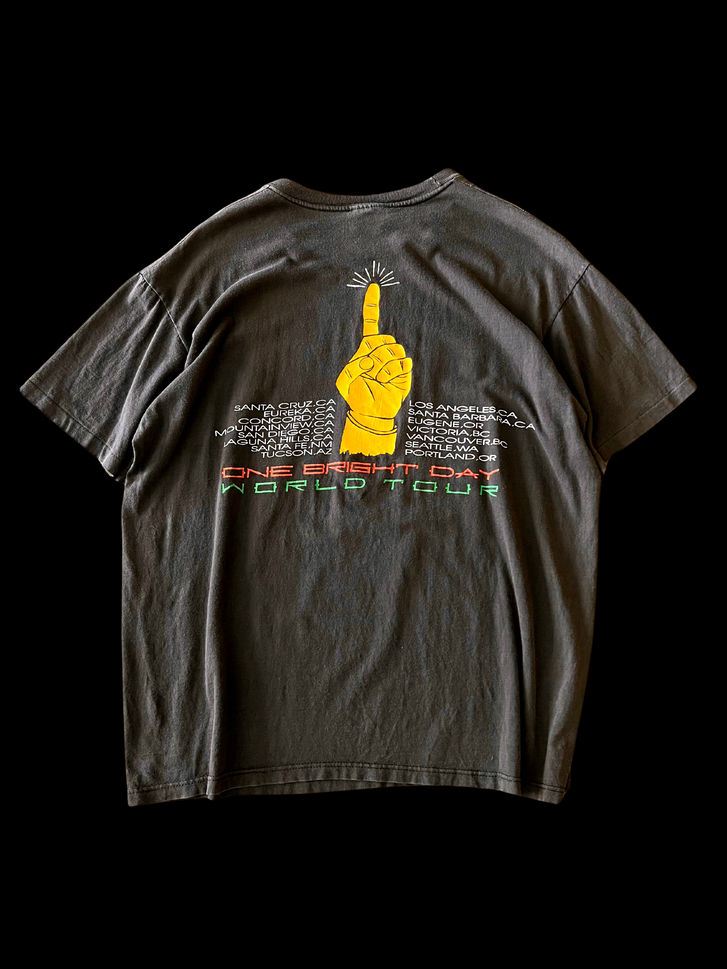 1990s Ziggy Marley T-Shirt at